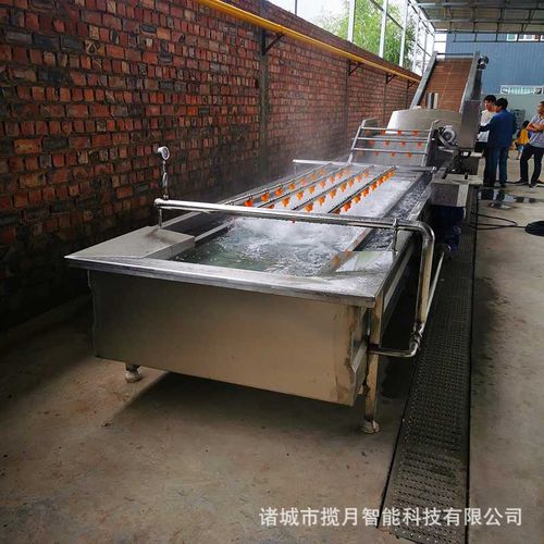 昊东科技2019全新自动化核桃清洗机 青核桃清洗去皮的高效解决方案