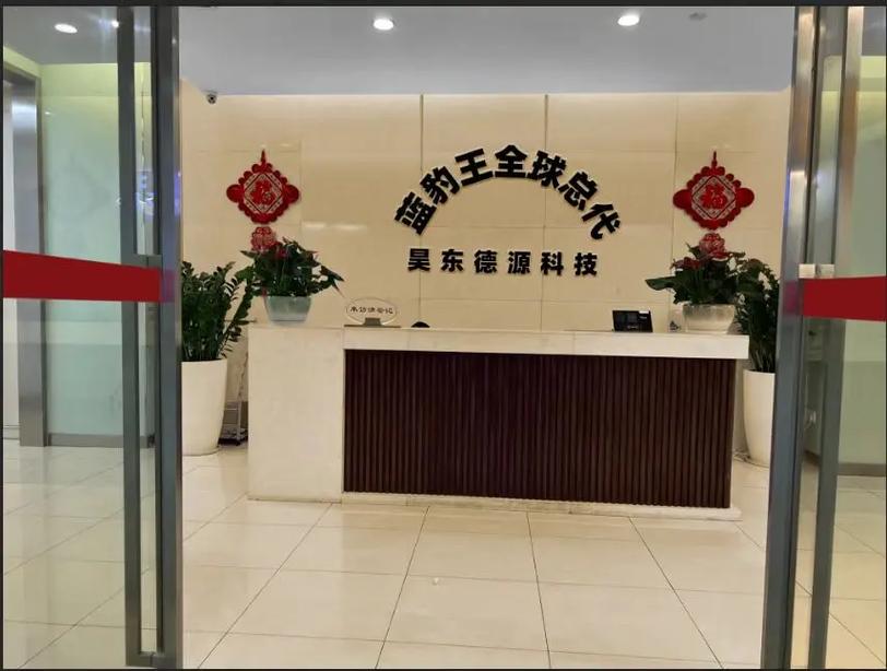 蓝豹王以品质为本,为用户提供高性能内存条.#蓝豹王 #内存条